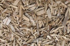 biomass boilers Blaisdon